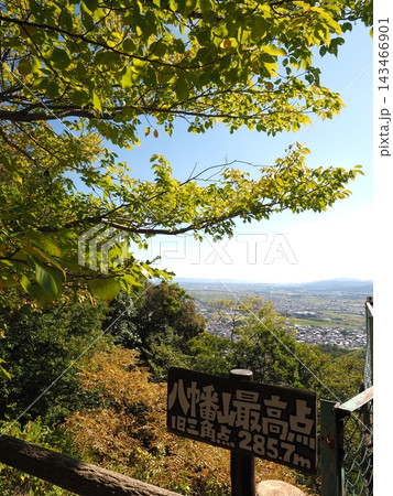 木漏れ日と青空が心地よい山頂風景。滋賀・近江八幡「八幡山最高地点」からの眺望 143466901