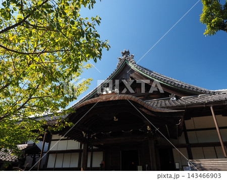 門跡寺院の格調高い寺院建築。滋賀・近江八幡の瑞龍寺本堂と晴れ渡る快晴の空 門跡寺院の格調高い寺院建築。滋賀・近江八幡の瑞龍寺本堂と晴れ渡る快晴の空 143466903