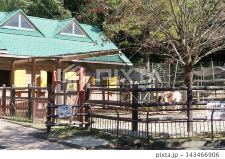 グリーンピア春日井内の動物ふれあい広場 143466906