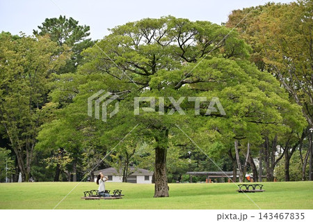 名城公園にて 名城公園にて 143467835