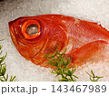 Fresh raw Kinmedai alfonsino fish resting on crushed ice 143467989