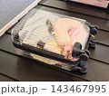 Transparent hard shell suitcase with clothing inside 143467995