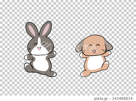 The rabbits are having a great time playing. The rabbits are having a great time playing. 143468014