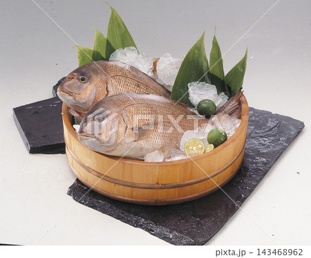 鯛 鯛 143468962