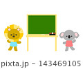 黒板の前に並ぶかわいいコアラとライオンの子供（学校・授業・勉強） 143469105