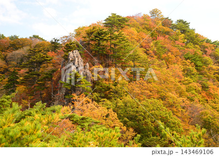 福島県いわき市二ッ箭山 そそり立つ岩峰を取り囲む鮮やかな紅葉 143469106