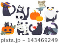 ハロウィン黒猫セット 143469249