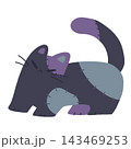 ゾンビの黒猫 143469253