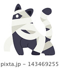 ミイラの黒猫 143469255