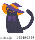 魔女の黒猫 143469256