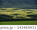 Old abandoned house in the green rolling hills of Iceland 143469431