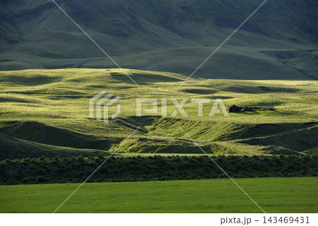 Old abandoned house in the green rolling hills of Iceland 143469431