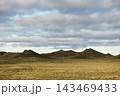 Moss covered volcanic landscape at Eldhraun lava field Iceland 143469433