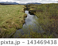 Glacial water filling a rocky volcanic fissure in a mossy rift valley, Iceland 143469438