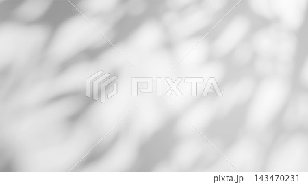 Gobo light effect on a white background with soft blurred shadow and diffused bokeh. Abstract shade with natural foliage pattern on wall. Gobo light effect on a white background with soft blurred shadow and diffused bokeh. Abstract shade with natural foliage pattern on wall. 143470231