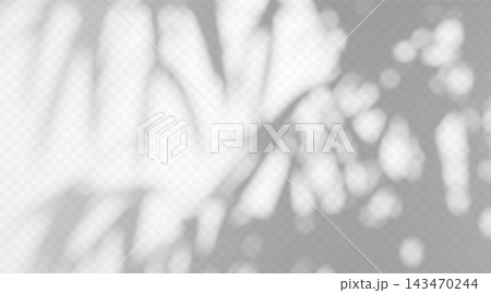Abstract blurred palm shadow overlay with dappled light texture on white background. 143470244