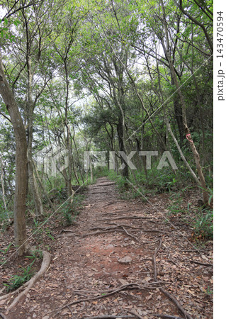 屋島南嶺の山頂付近の山道 143470594