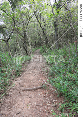 屋島南嶺の山頂付近の山道 屋島南嶺の山頂付近の山道 143470596