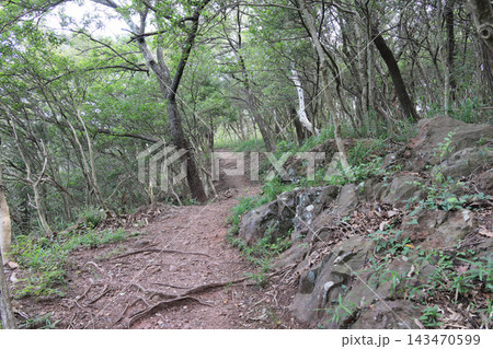 屋島南嶺の山頂付近の山道 屋島南嶺の山頂付近の山道 143470599