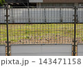建設予定地のさら地（仮囲いフェンスのある空き地） 143471158