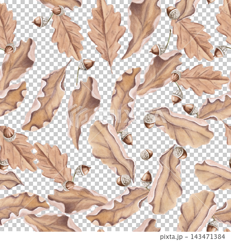 Autumn oak leaves in a seamless watercolor pattern. An isolated illustration for dried fruit packaging, children's clothing design, wallpaper, scrapbooking, bedding, and park merchandise. Autumn oak leaves in a seamless watercolor pattern. An isolated illustration for dried fruit packaging, children's clothing design, wallpaper, scrapbooking, bedding, and park merchandise. 143471384