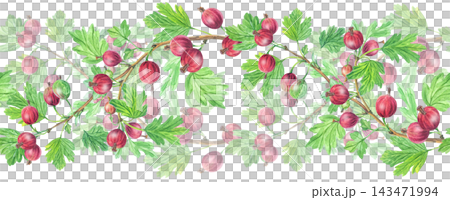 Lush watercolor red gooseberry seamless pattern border design with leaves. Isolated horizontal repeating frame element for sweet food jam packaging 143471994