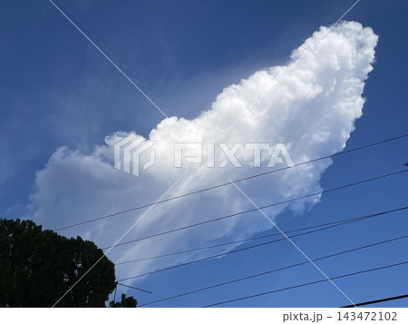 Vivid Cumulus Cloud Rising Against Blue Sky Framed By Treetops And Power Lines Vivid Cumulus Cloud Rising Against Blue Sky Framed By Treetops And Power Lines 143472102