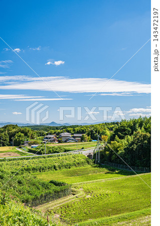 湖西地方の景勝地伊香立の棚田 滋賀県大津市 湖西地方の景勝地伊香立の棚田 滋賀県大津市 143472197