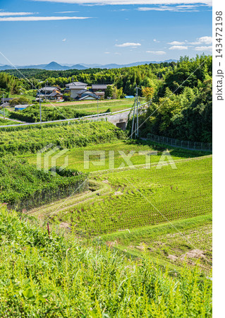 湖西地方の景勝地伊香立の棚田 滋賀県大津市 湖西地方の景勝地伊香立の棚田 滋賀県大津市 143472198
