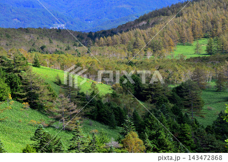 【山の風景】群馬県・芳ヶ平湿地群（2022年） 143472868