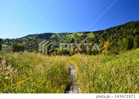 【山の風景】群馬県・芳ヶ平湿地群（2022年） 143472871
