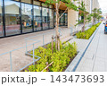 会津若松市役所　会津若松市新庁舎　本庁舎エントランス　旧館を保存・活用 143473693