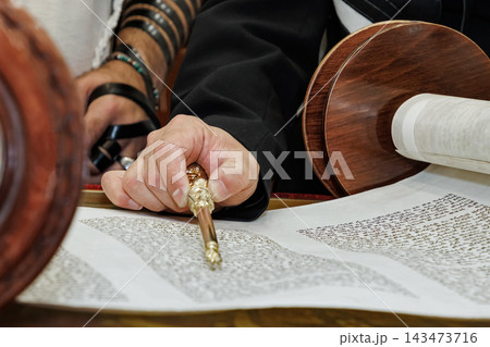 Jew reading from a Torah scroll, Western Wall, Jerusalem 143473716