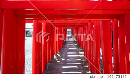 奥へと連なる朱色の鳥居と日本の神社の参道 奥へと連なる朱色の鳥居と日本の神社の参道 143475125