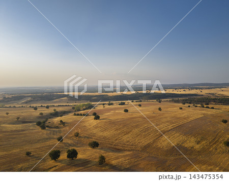 Lerma landscape showing dry fields and scattered trees Lerma landscape showing dry fields and scattered trees 143475354