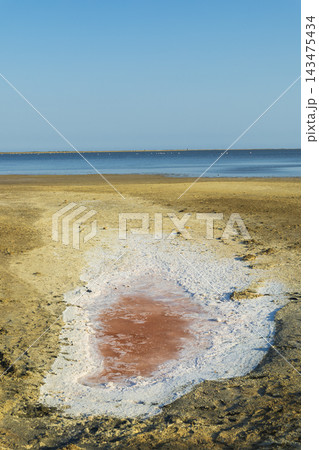 Pink salt pond reflecting blue sky in Camargue, France Pink salt pond reflecting blue sky in Camargue, France 143475434