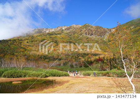 栂池自然園の紅葉 栂池自然園の紅葉 143477134