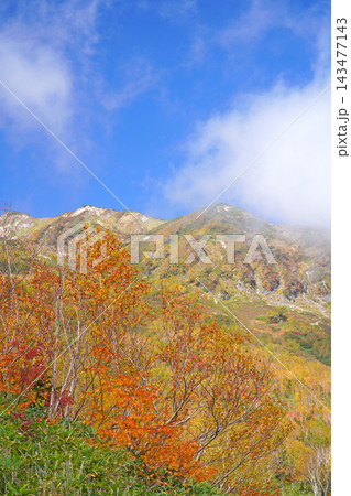 栂池自然園の紅葉 栂池自然園の紅葉 143477143
