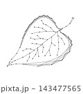 leaf of plant from abstract futuristic polygonal black lines and dots, concept of prosperous ecology 143477565