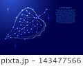 leaf of plant from futuristic polygonal blue lines and glowing stars for banner, poster, greeting card 143477566