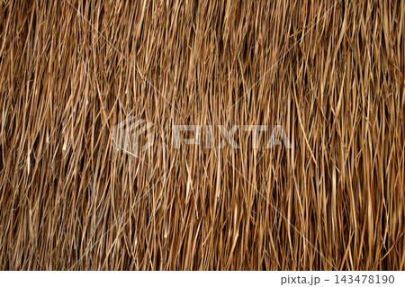 dries straw wall background dries straw wall background 143478190
