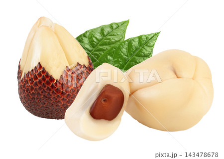 Salak snake fruit isolated on white background with full depth of field Salak snake fruit isolated on white background with full depth of field 143478678