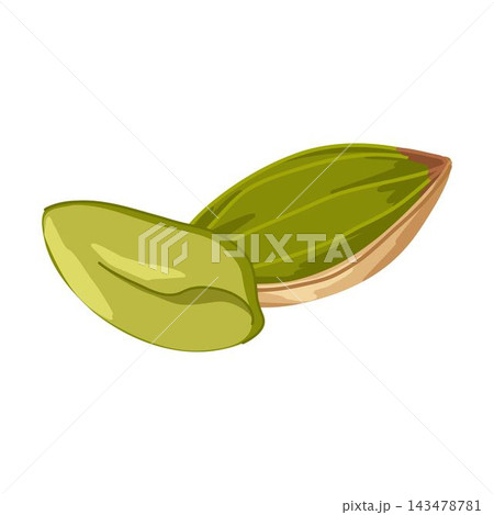 Pistachios vector composition with shelled and whole nuts. Hand drawn cartoon illustration for snack branding, healthy food packaging, menu visuals, stickers, apps 143478781
