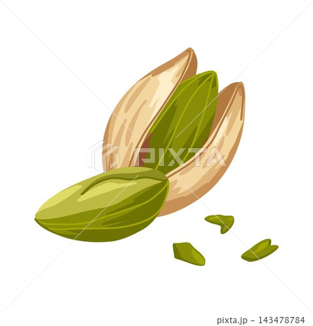 Vector composition of assorted pistachios. Closed, opened, broken, crushed nuts. Hand drawn illustration for food product design, packaging, menu graphics, promo visuals, healthy apps 143478784