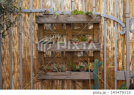 Rustic Wooden Pallet Vertical Garden With Succulent Plants and Cacti Rustic Wooden Pallet Vertical Garden With Succulent Plants and Cacti 143479318