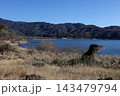 Peaceful Blue Lake Surrounded by Green Hills and Dry Reeds Under Clear Sky, Japanese Countryside Landscape 143479794