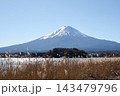 Snow-Capped Mount Fuji over Lake Kawaguchiko with Golden Susuki Pampas Grass in Autumn, Yamanashi, Japan 143479796