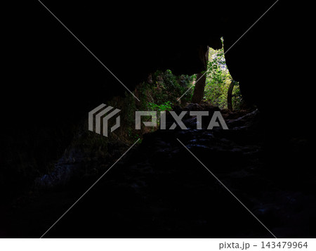 Dark interior view of a deep natural limestone cave opening towards a lush green forest. Dark interior view of a deep natural limestone cave opening towards a lush green forest. 143479964