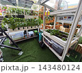 A compact hydroponic setup designed for growing fresh vegetables at home. Ideal for home yards, it encourages self-sufficiency, healthier living, and saving money on daily produce. 143480124