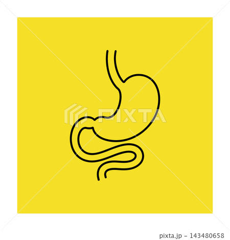 Black line drawing of human stomach and intestine on yellow square background 143480658